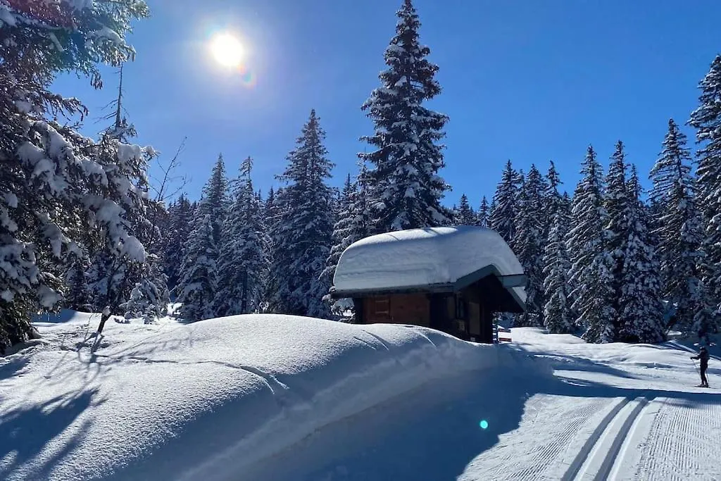 Apartment La Perle Des Alpes C10 Apart.4* #Yolo Alp Home Villard-sur-Doron