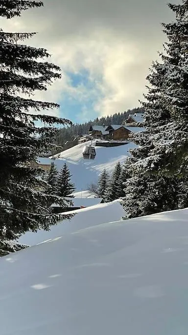 Apartment La Perle Des Alpes C10 Apart.4* #Yolo Alp Home Villard-sur-Doron