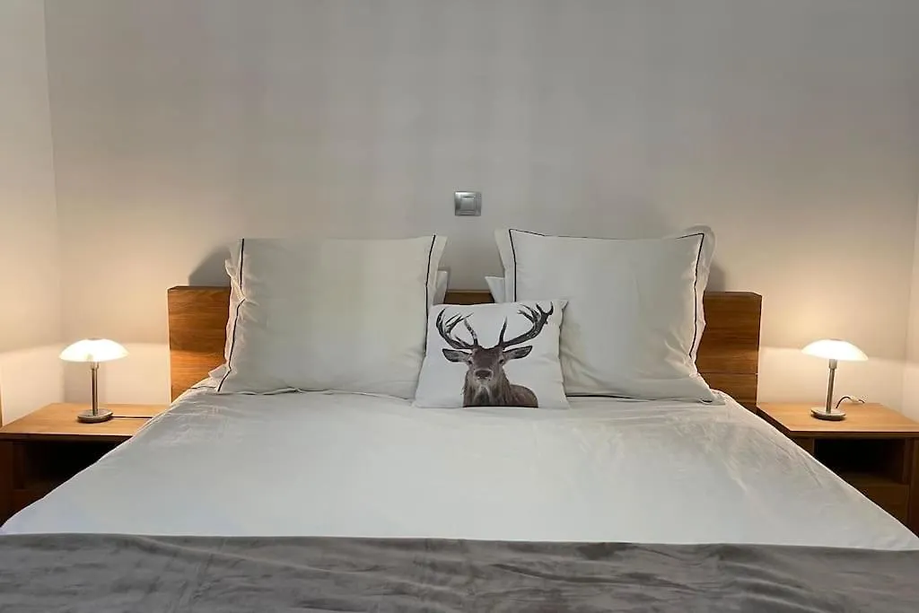 La Perle Des Alpes C10 Apart.4* #Yolo Alp Home Villard-sur-Doron France